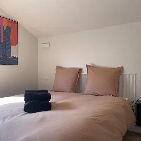 Loft Maison 5ch 5sdb 5wc Lille 200m2 Avec Extérieur Appartement